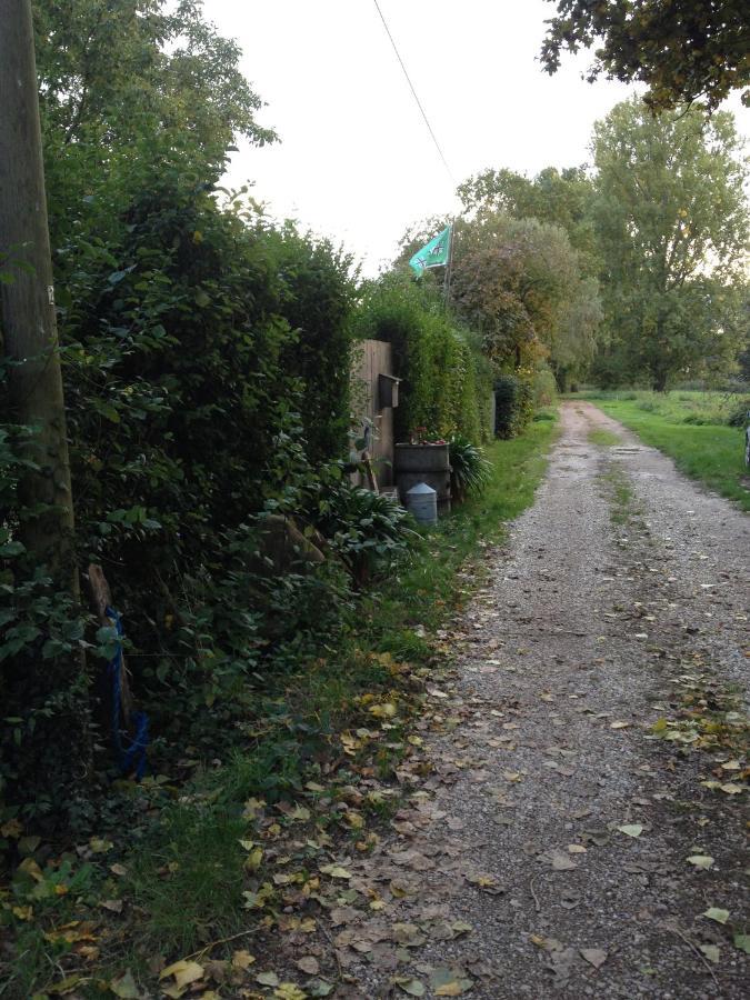 Beachcottage Apartment Ingelheim am Rhein