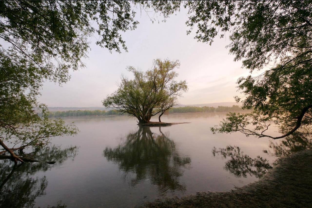 Beachcottage Ingelheim am Rhein